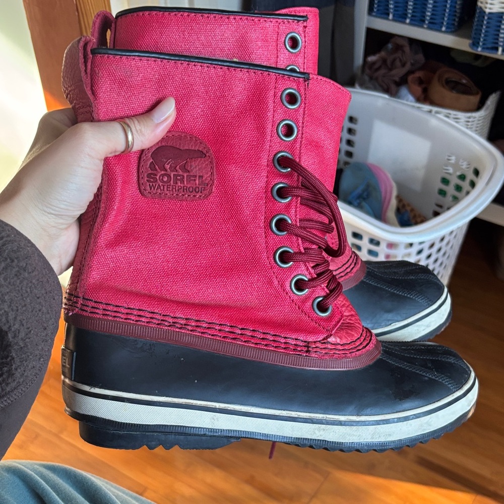 Red sorels